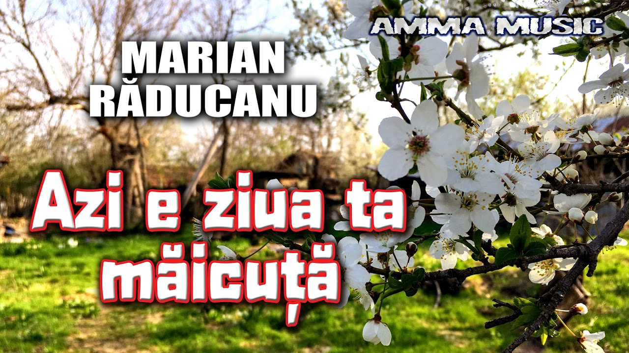 MUZICA DE PETRECERE - MARIAN RADUCANU - AZI E ZIUA TA MAICUTA