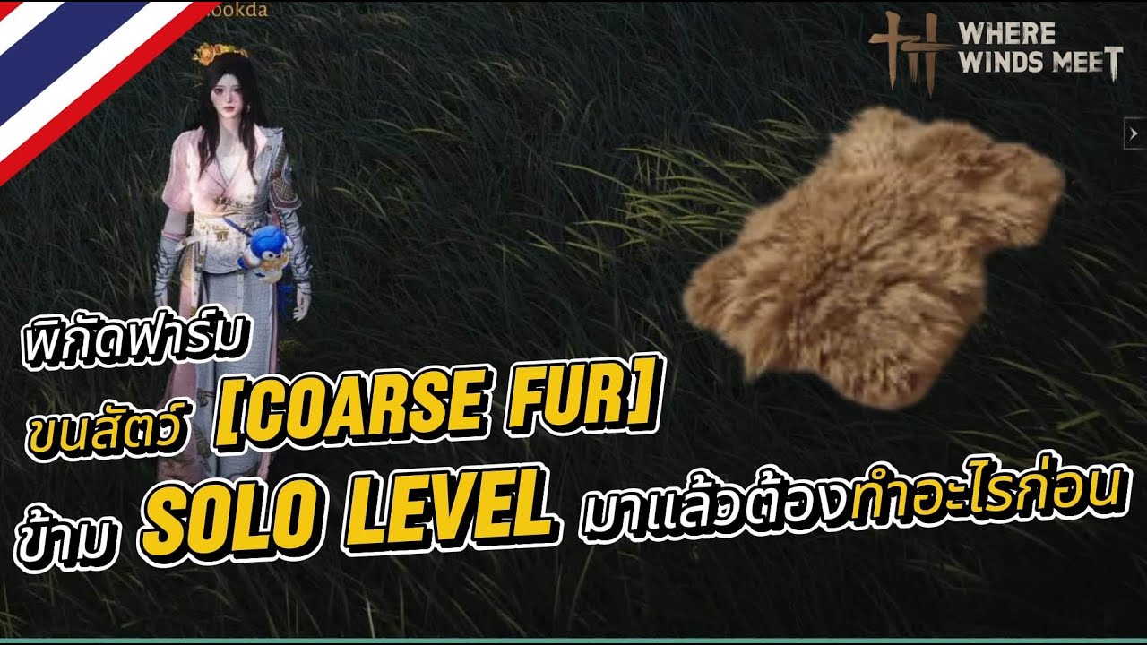 Where Winds Meet : ข้าม Solo Level มาแล้วต้องทำอะไรก่อน /พิกัดฟาร์มขนสัตว์ [coarse Fur]