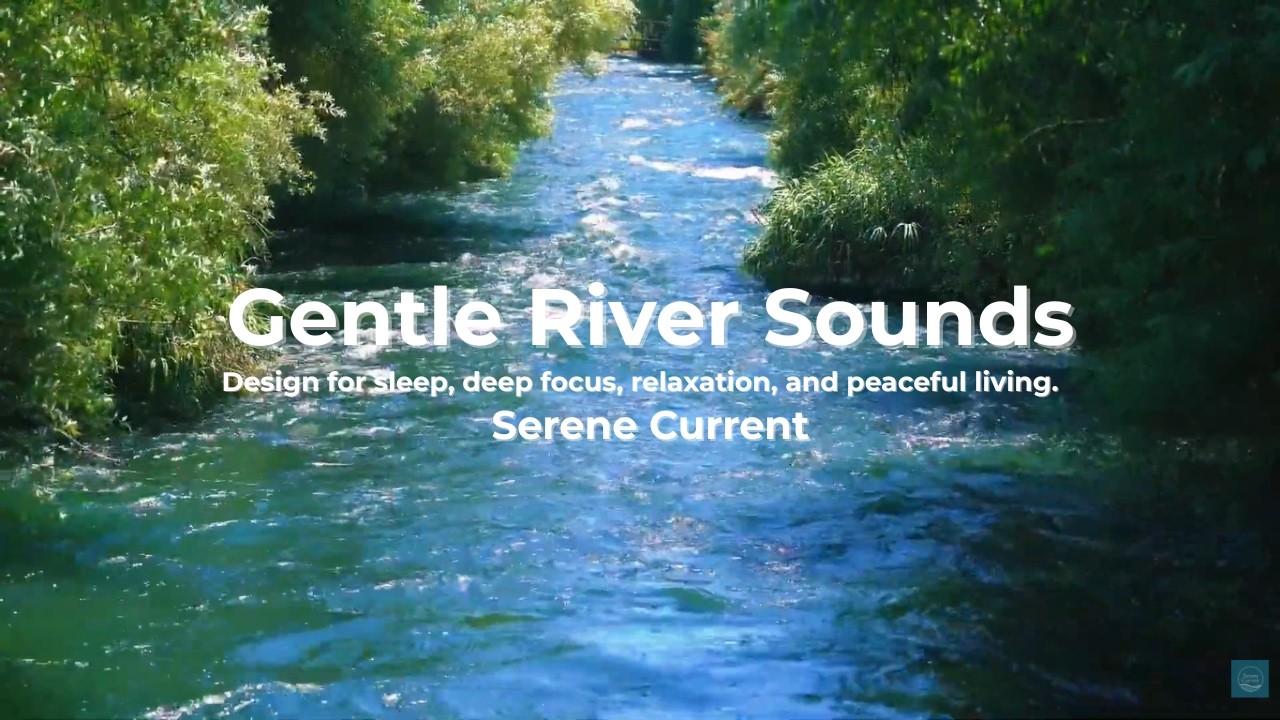 Peaceful River in the Forest 🌿 Nature Sounds for Work & Study | Serene Current