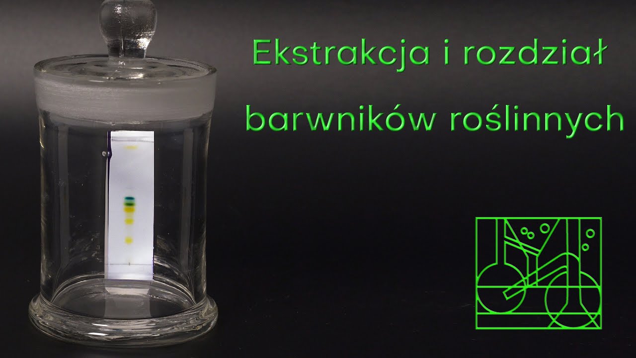 Ekstrakcja i rozdział barwników roślinnych