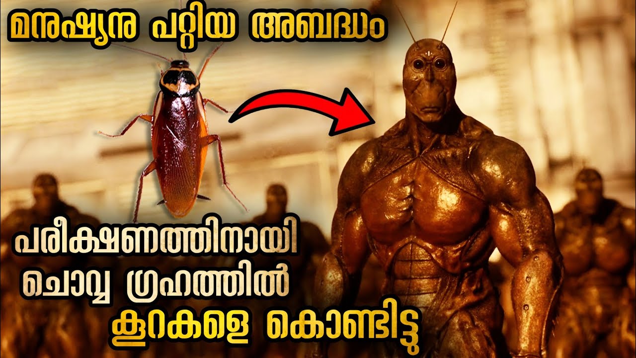അതിബുദ്ധി ആപത്ത് പാറ്റകൾ  മനുഷ്യനായപ്പോൾ 😡😡😡@malluexplainer185