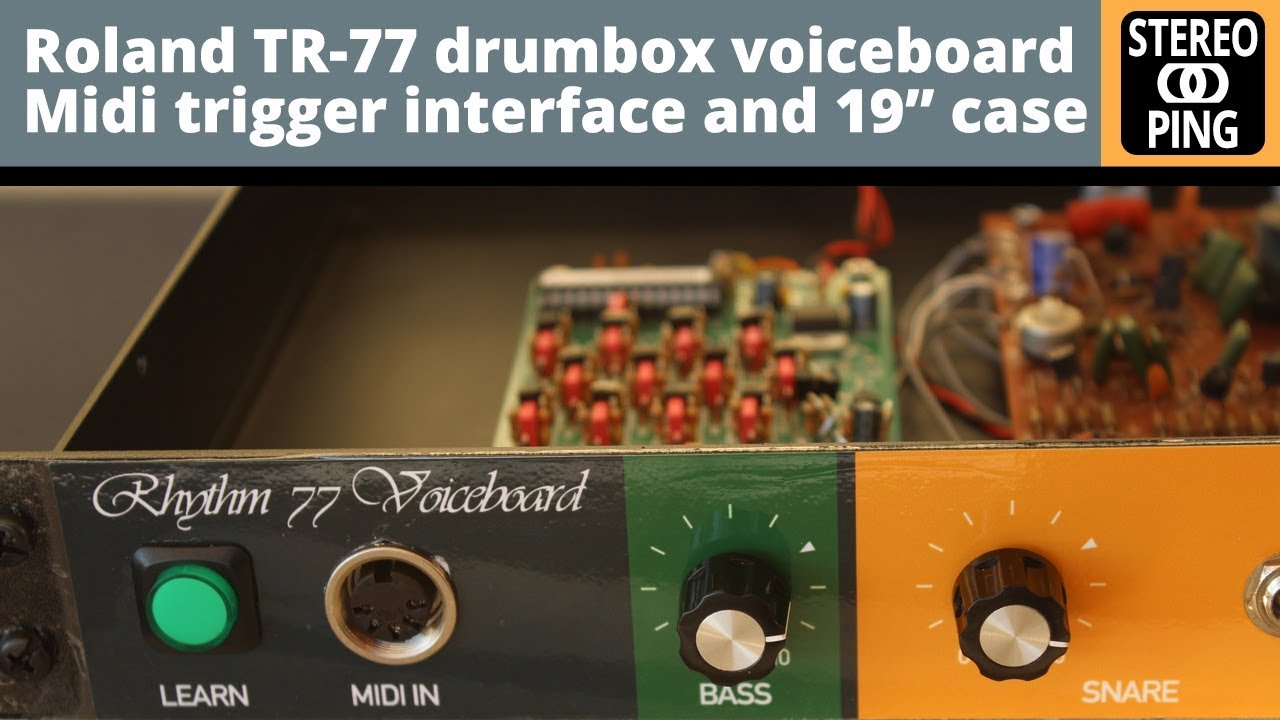 Roland TR-77 voiceboard in 19