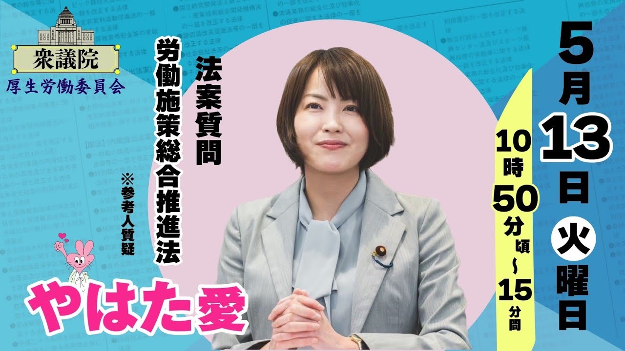 【#やはた愛 の参考人質問！】厚生労働委員会 労働施策総合推進法について 2025年5月13日10:50頃～