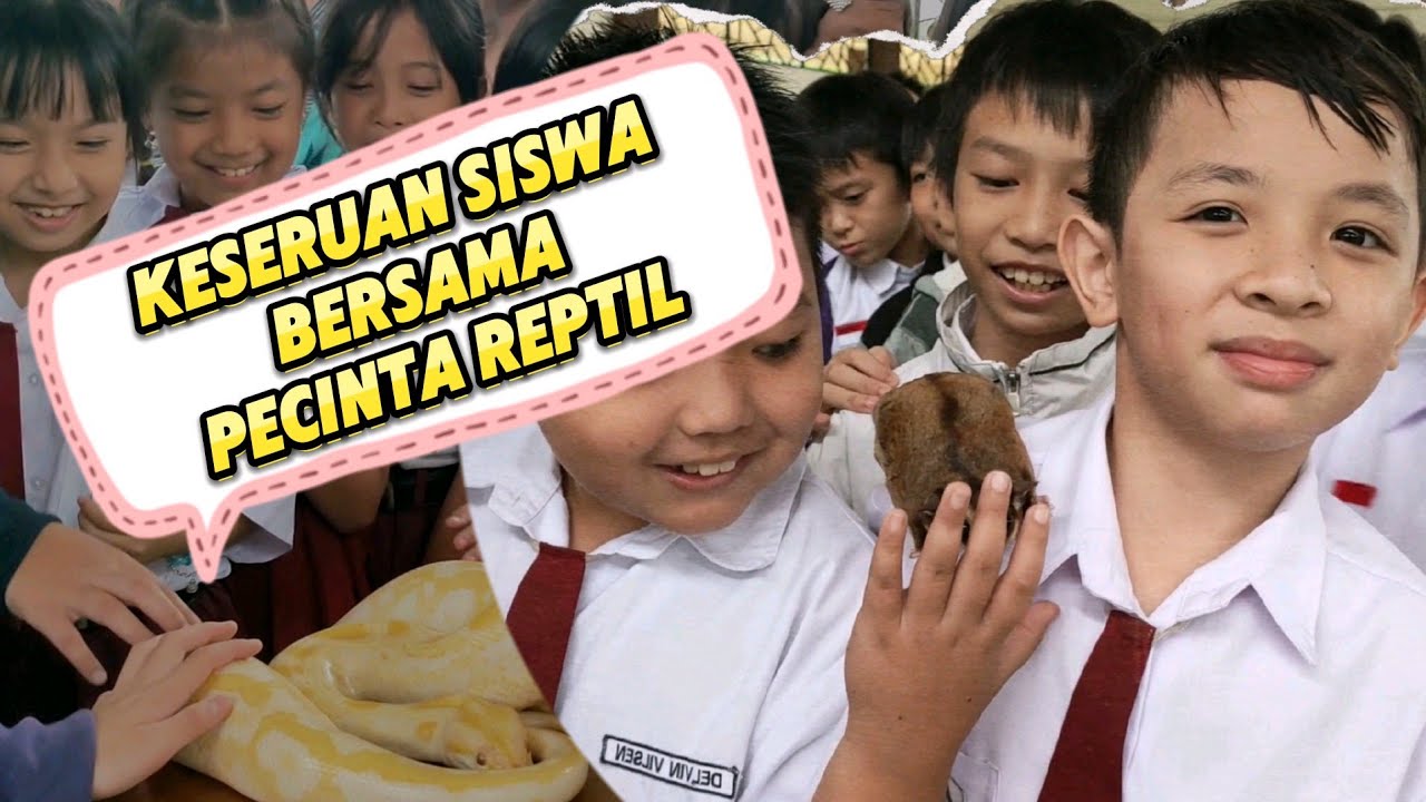 Keseruan Anak GB Bersama Pecinta Reptil
