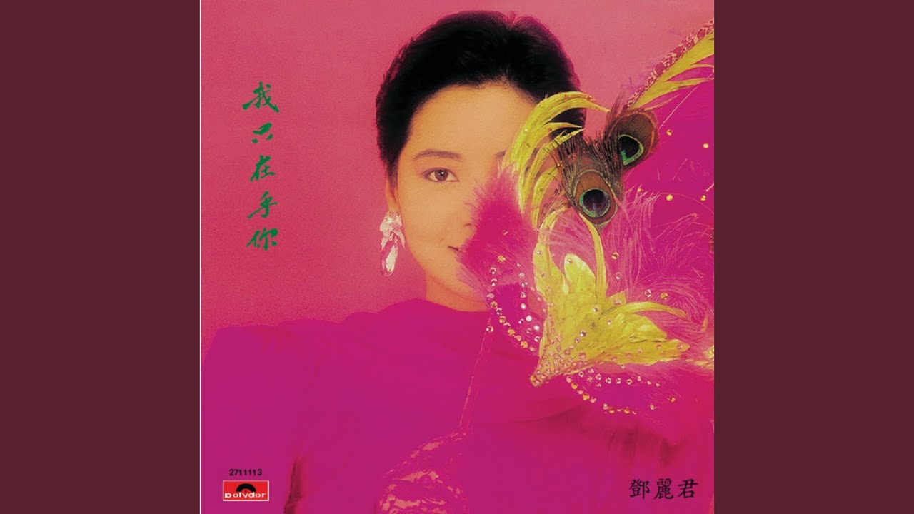 我只在乎你