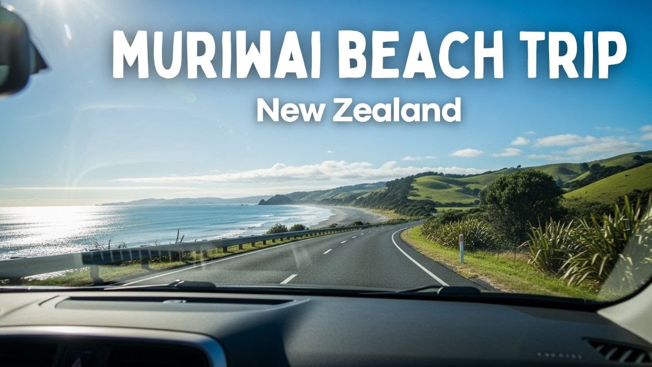 🌅 Scenic Drive to Muriwai Beach | Auckland New Zealand | 4K 60FPS POV with Real Sound
