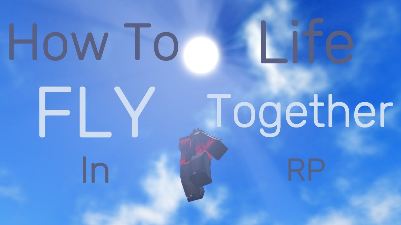 How To Fly In Life Together