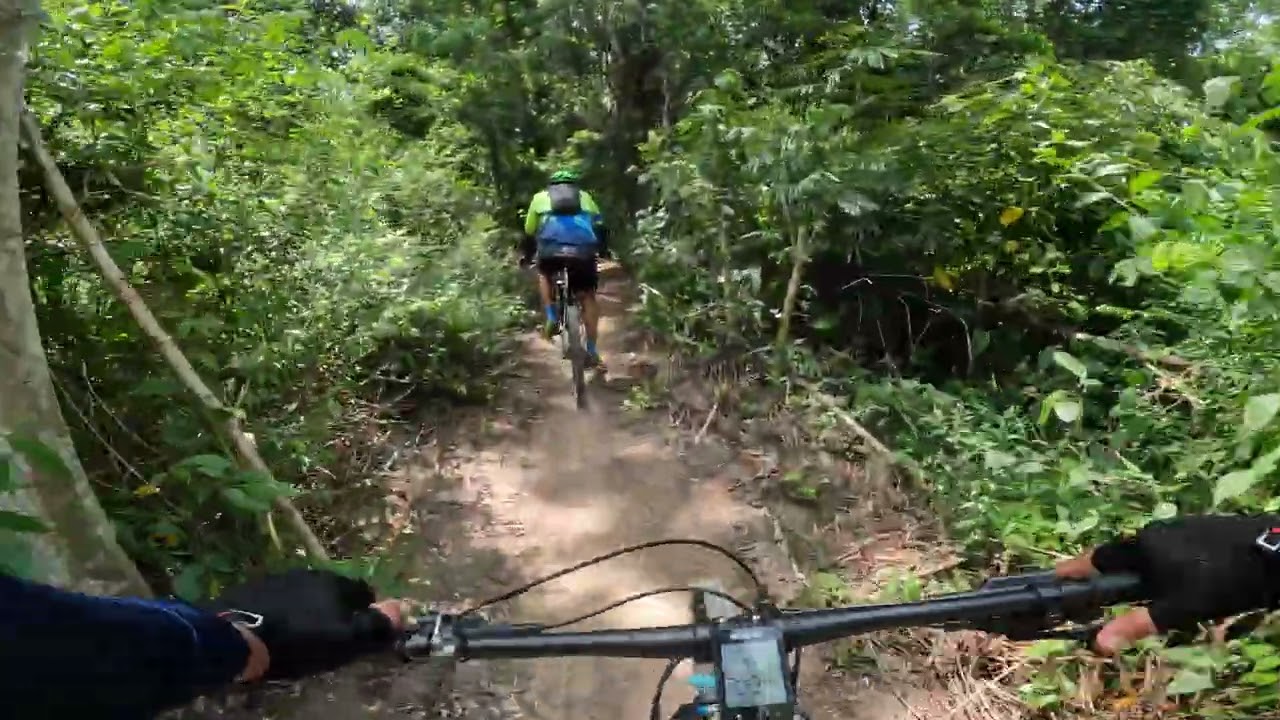 Pedal coaraci Bahia 