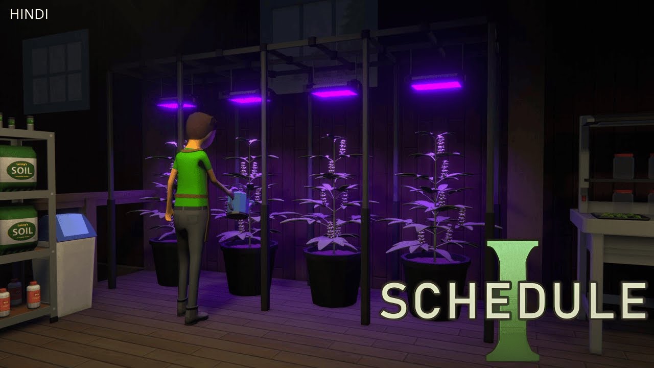Building My Weed Empire in Schedule 1@_ak2Gaming_