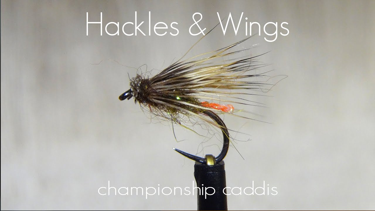 Fly Tying Championship Caddis | Hackles & Wings