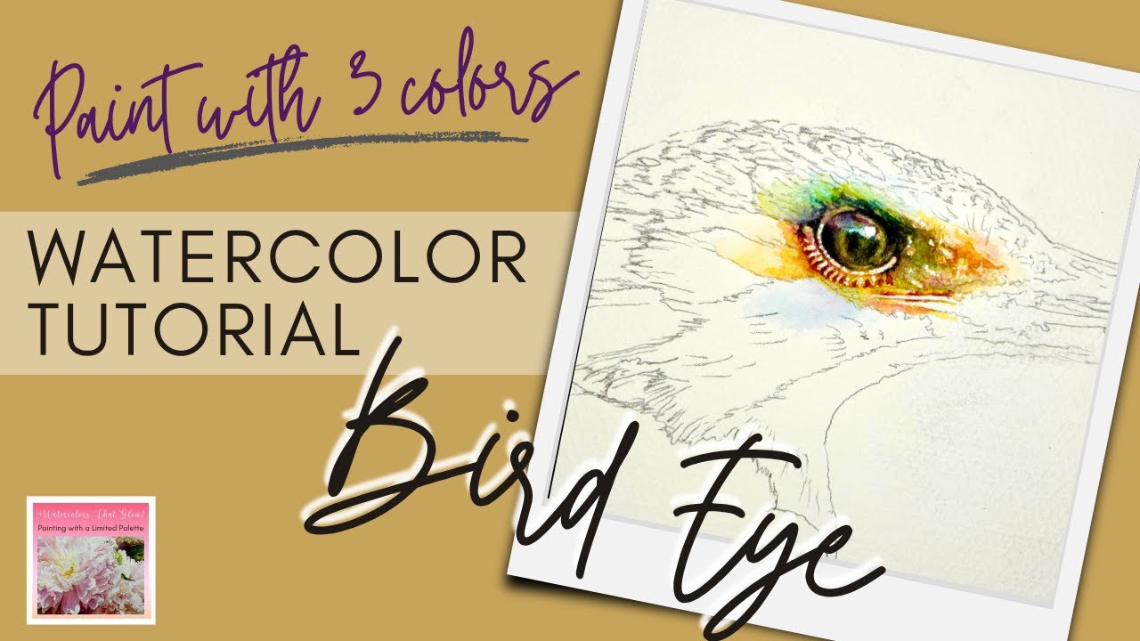 Painting a birds eye with 3 colors