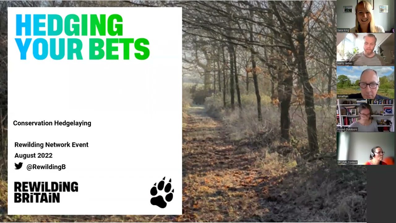 Smaller Scale Rewilding: Hedging your bets: The effectives of conservation hedge laying on Wildlife