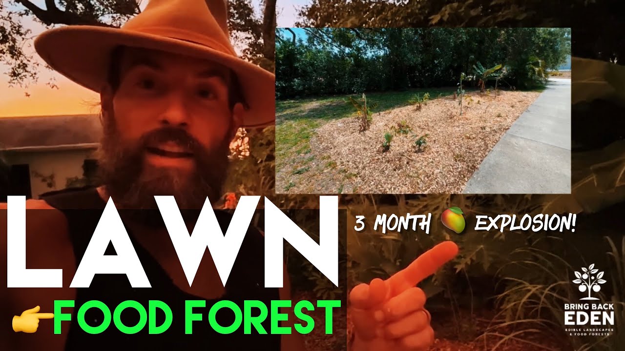 3-Month Old Florida Food Forest 👉 Already Producing Food?! | Bring Back Eden