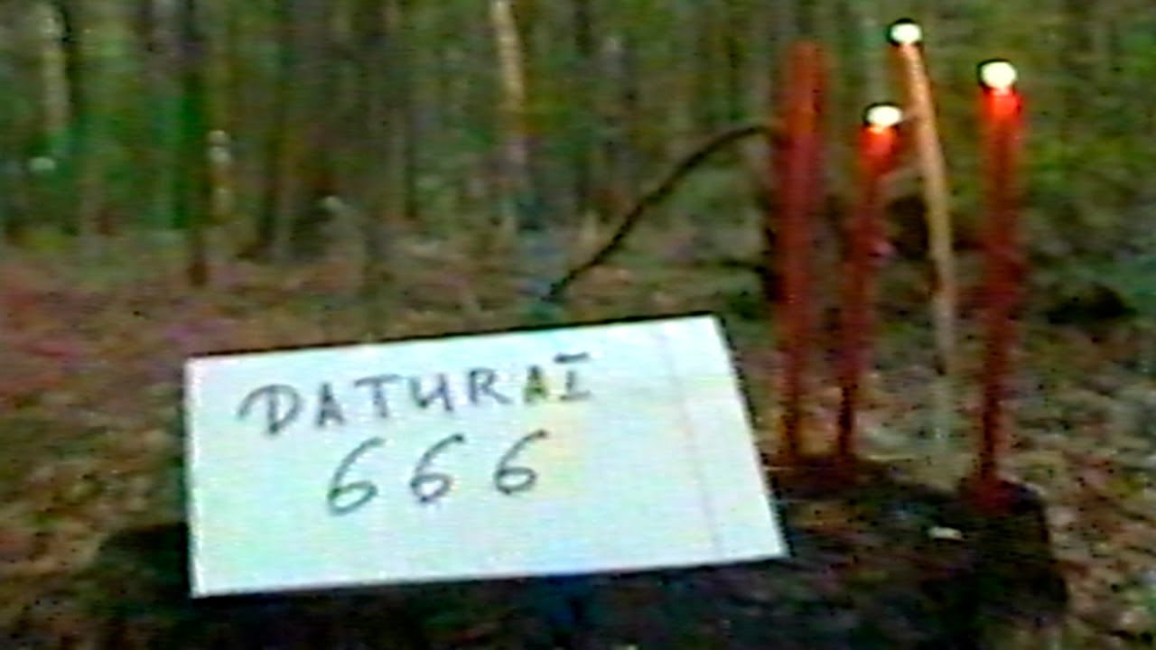 daturai666 full mix [february 2023]
