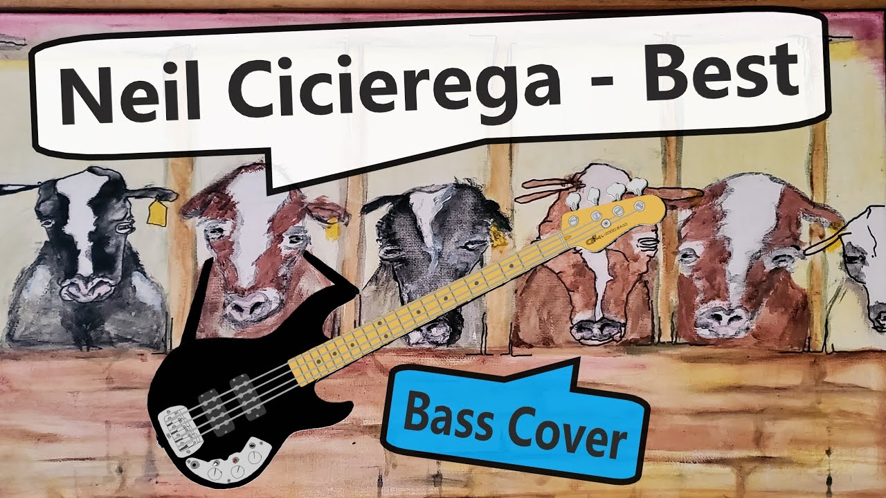 Neil Cicierega - Best Bass Cover