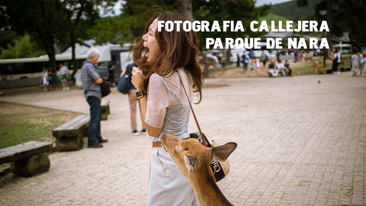 9 minutos paseando por el parque de los ciervos de Nara | POV Street Photography | Sony ZVE10