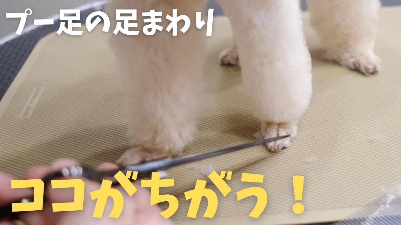 【リクエスト】プー足の足回りのポイント