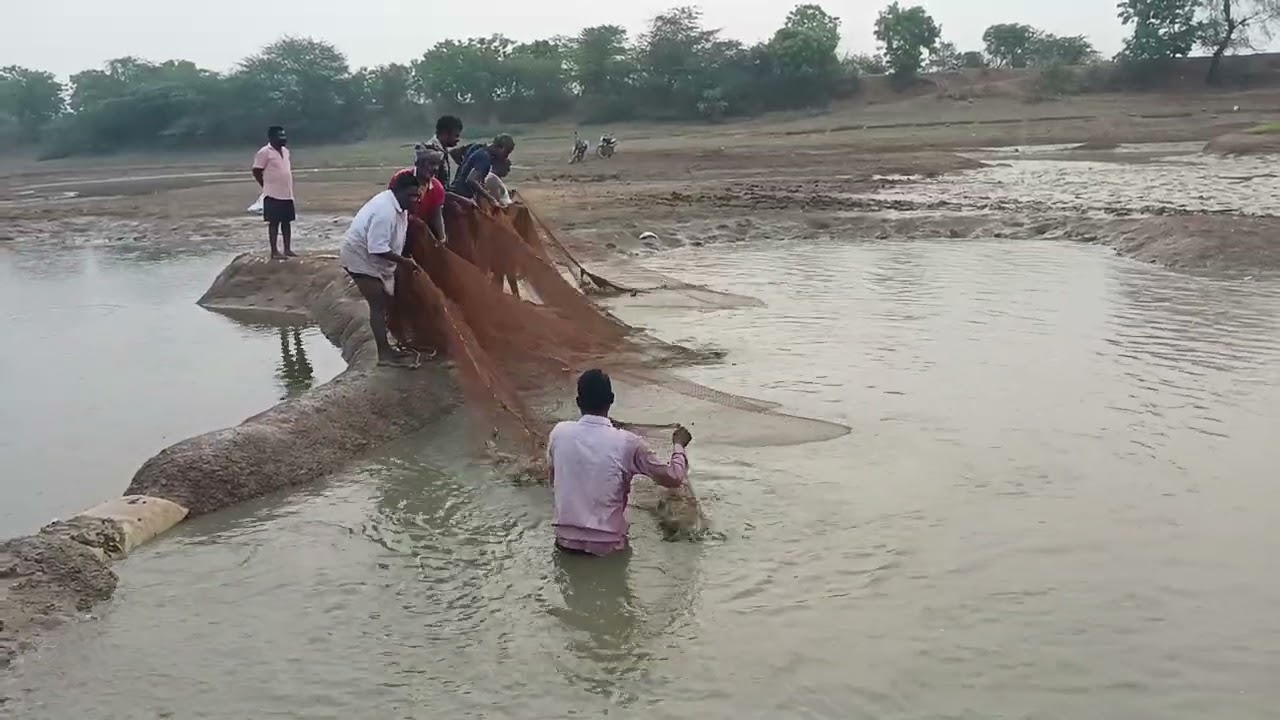 Fish hunting