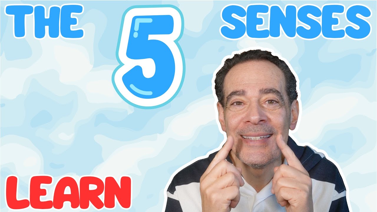 Learn the 5 Senses | Fun Toddler Video