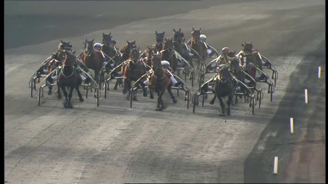 2008 PRIX D'AMERIQUE - LA COURSE - OFFSHORE DREAM