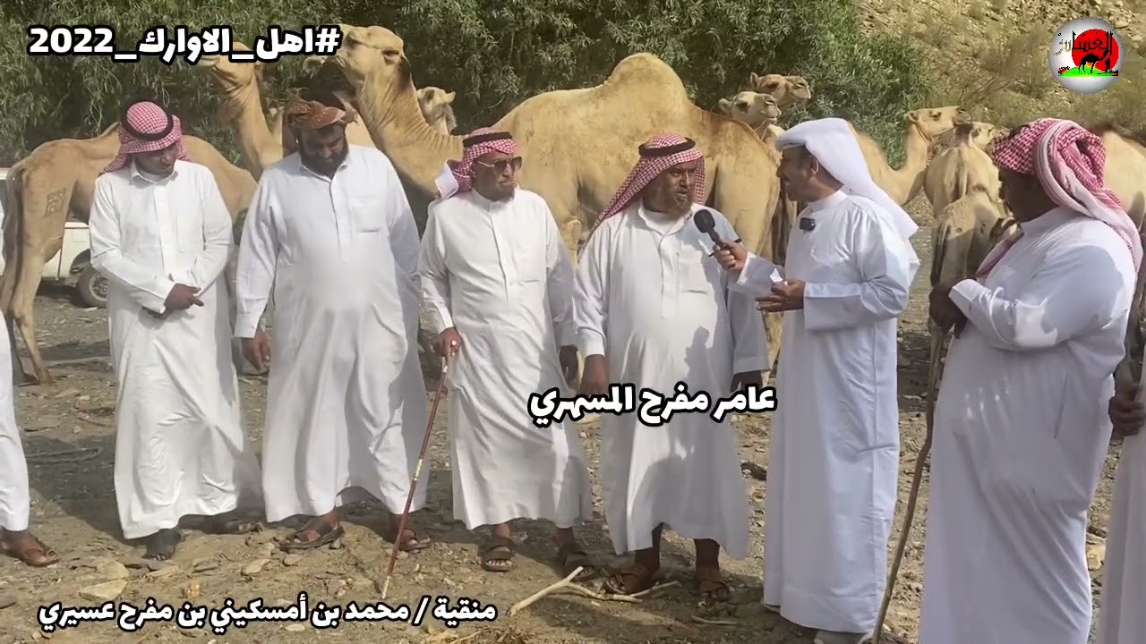 منقية / محمد امسكيني عسيري