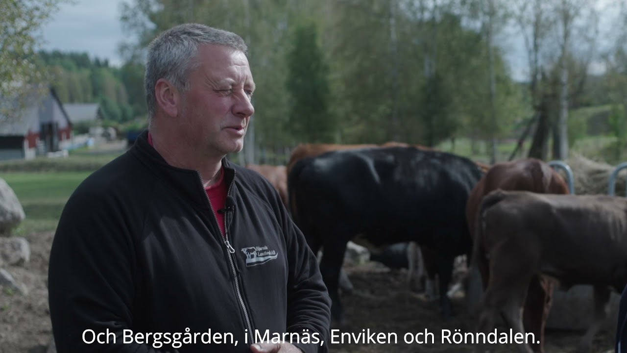 Pelle Presenterar - Bjursås Lantbruk
