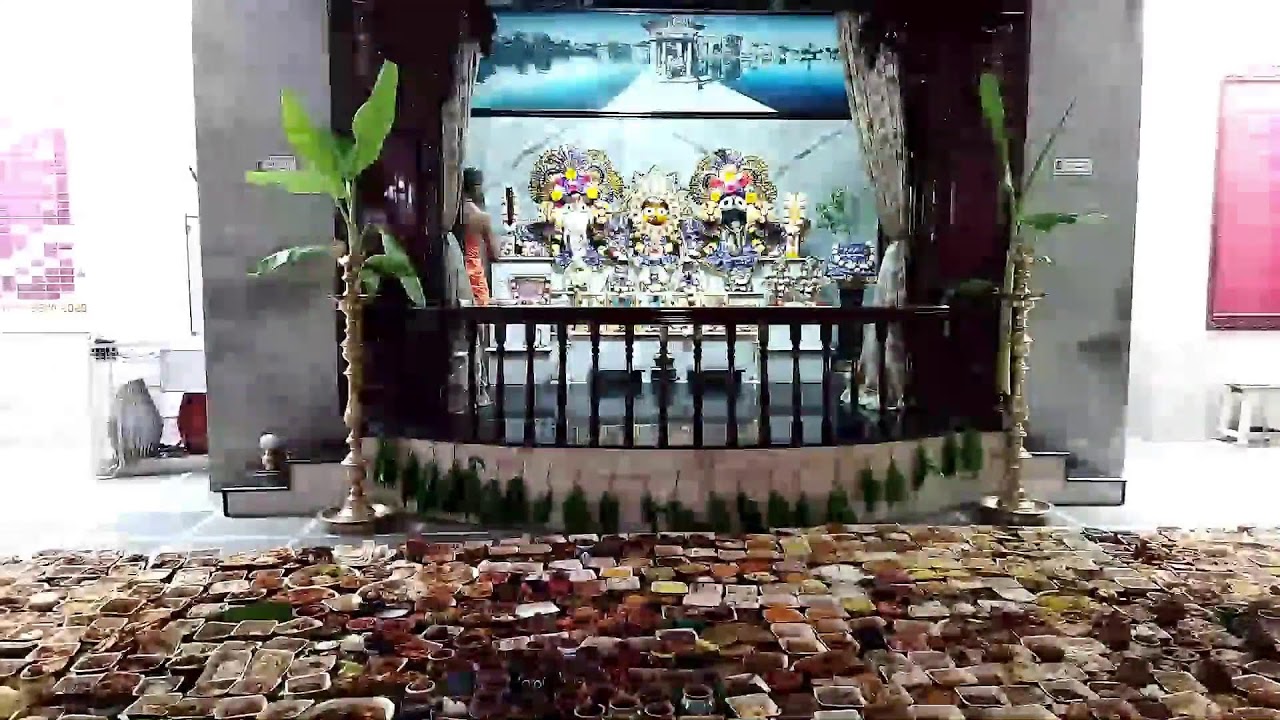 Snana Yatra  |  Maha Arati | 18.06.2023