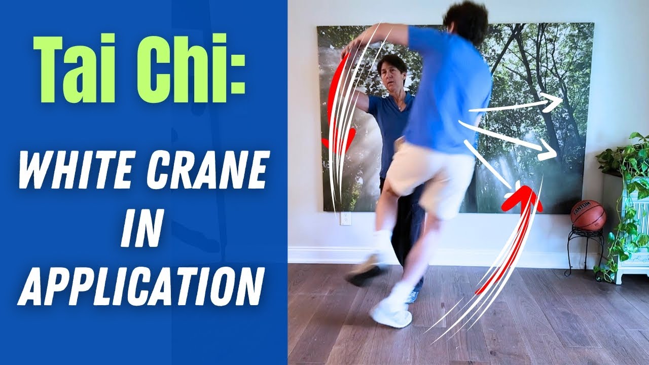 White Crane in Tai Chi Application | Song, Intention, and Structural Connection