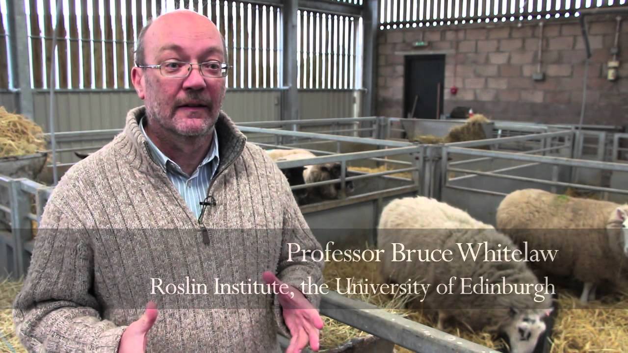 Indian Partnerships with the University of Edinburgh
