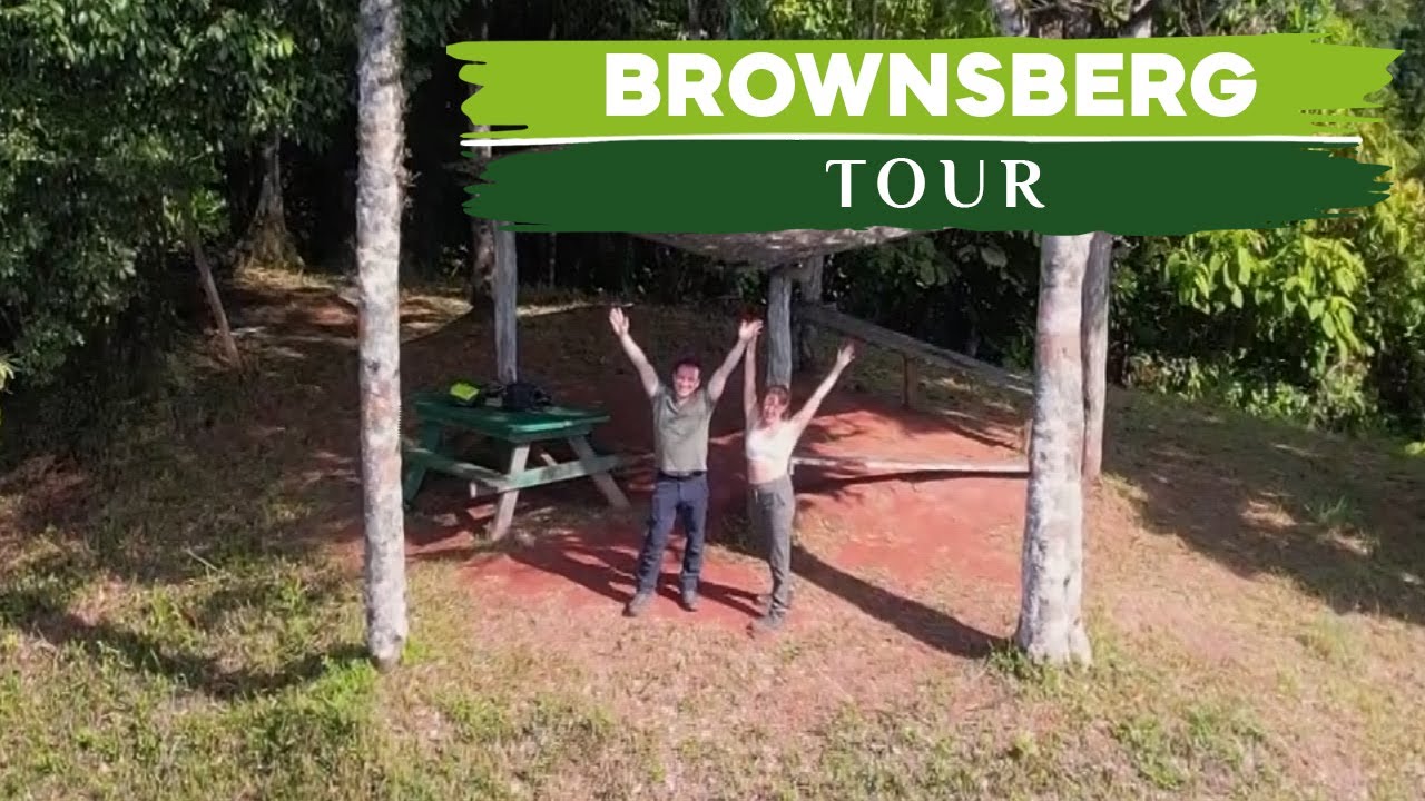 Explore Suriname’s Stunning Rainforest | Brownsberg Nature Park