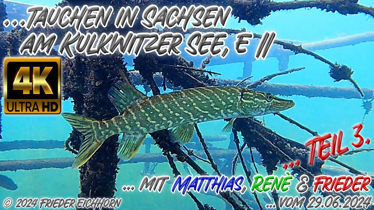 Tauchen in Sachsen, 🐠 am Kulkwitzer See, 🐟 E II, 29.06.2024, Teil 3.