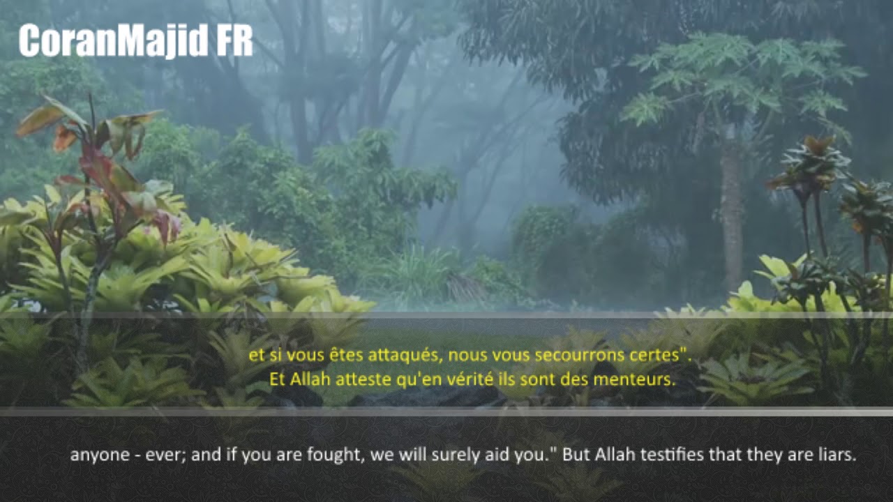 Sourate Al Hashr Relaxing Récitation | Ahmed Al Nufays | أحمد النفيس سورة الحشر