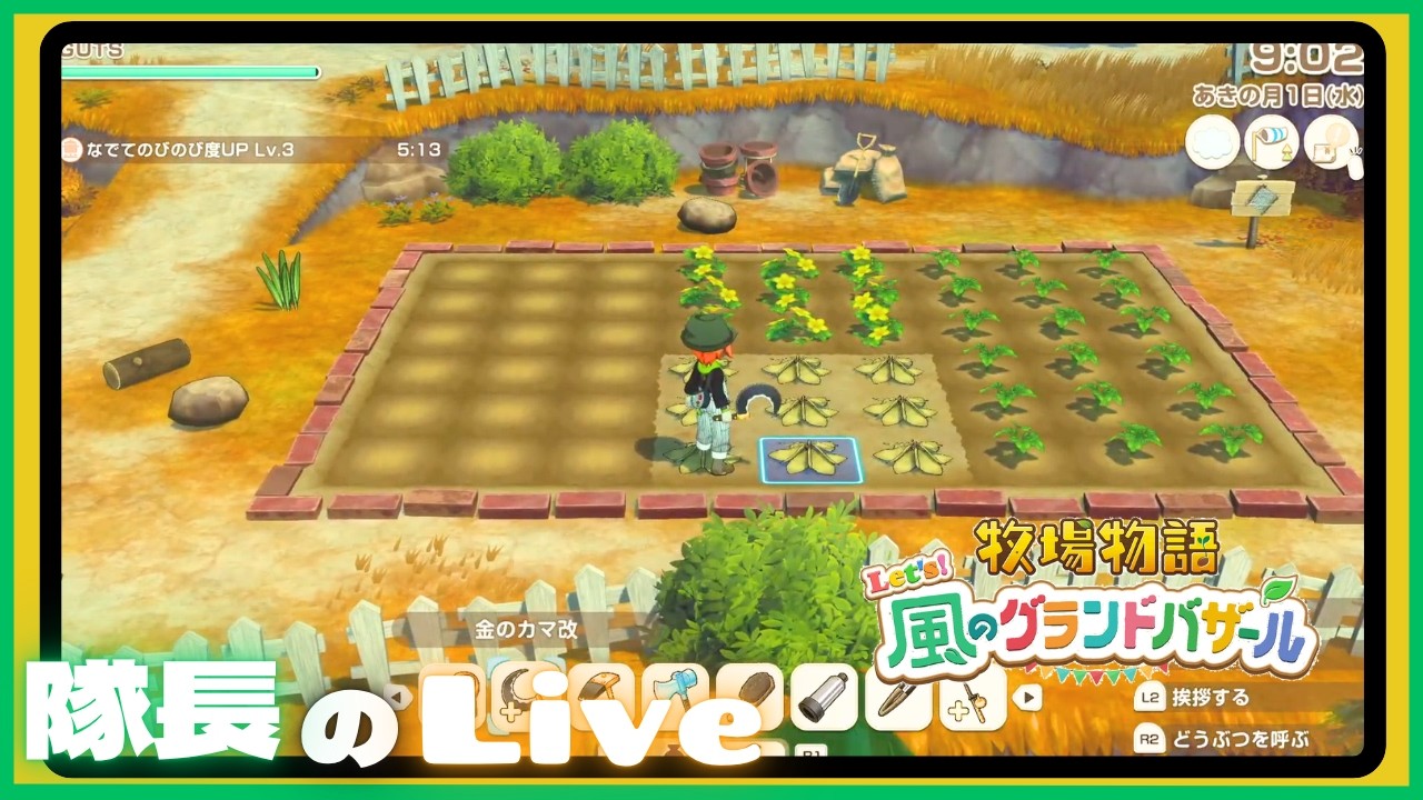 ＃５０【ライブ】隊長のドタバタ牧場生活！  【牧場物語 Let's風のグランドバザール】
