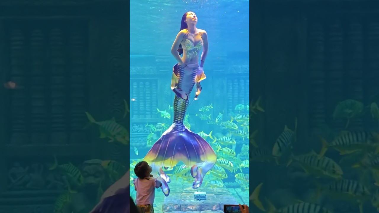 The second Chinese Beautiful mermaid  video. #mermaid #mermaids #beauty #china #mermaidswimming