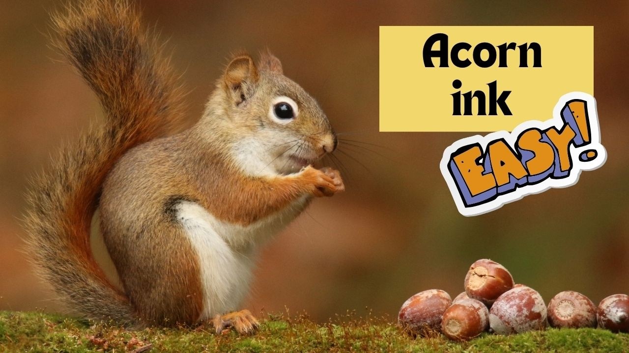 How to make ink using acorns