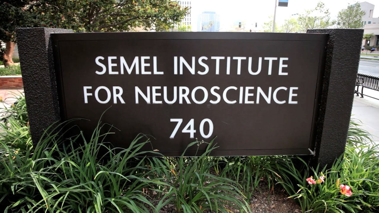 The Semel Institute for Neuroscience and Human Behavior at UCLA