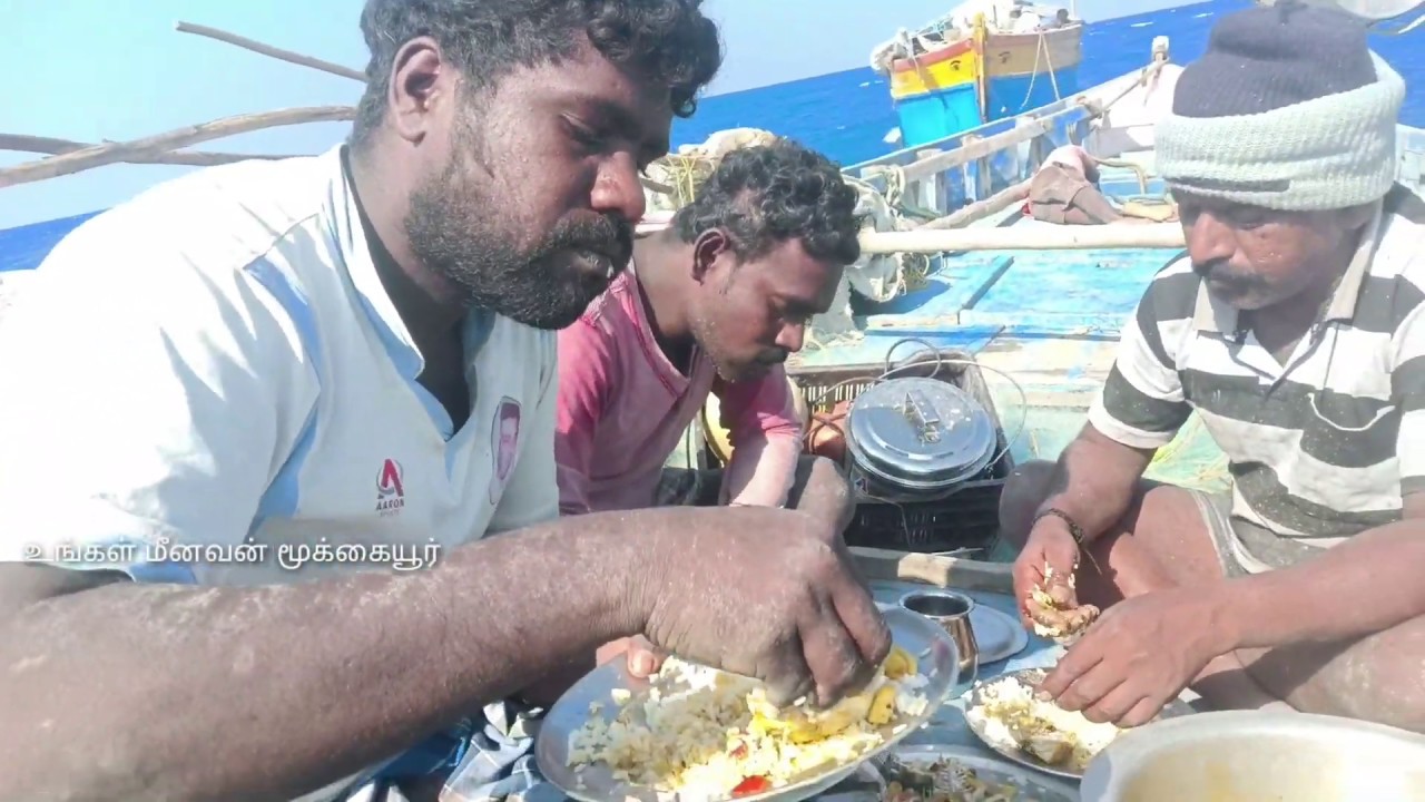 நடுக்கடலில் விலை மீன் குழம்பு சாப்பாடு / cooking fish curry on the boat