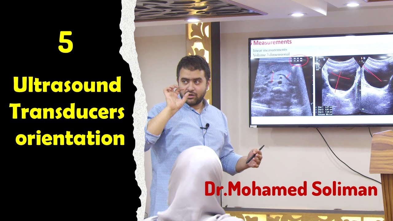 5 Ultrasound Transducers orientation - Dr. Mohamed Soliman