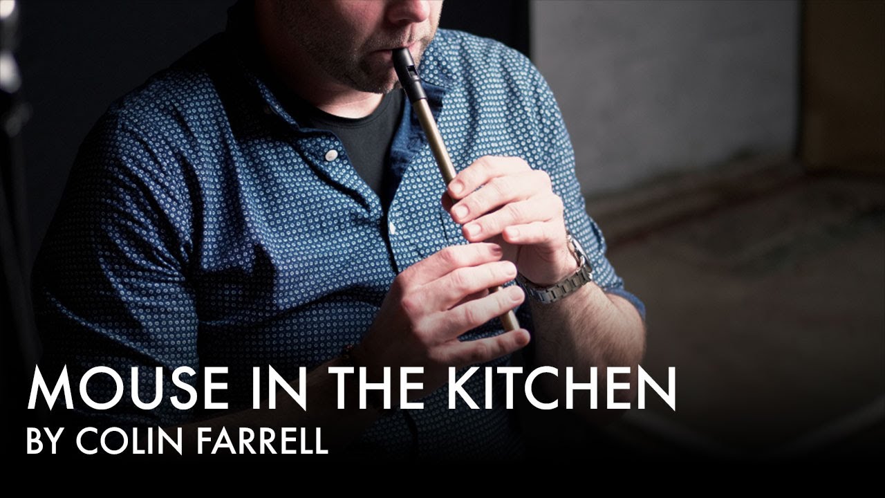 Tin Whistle Lesson - Mouse in the Kitchen (Jig)
