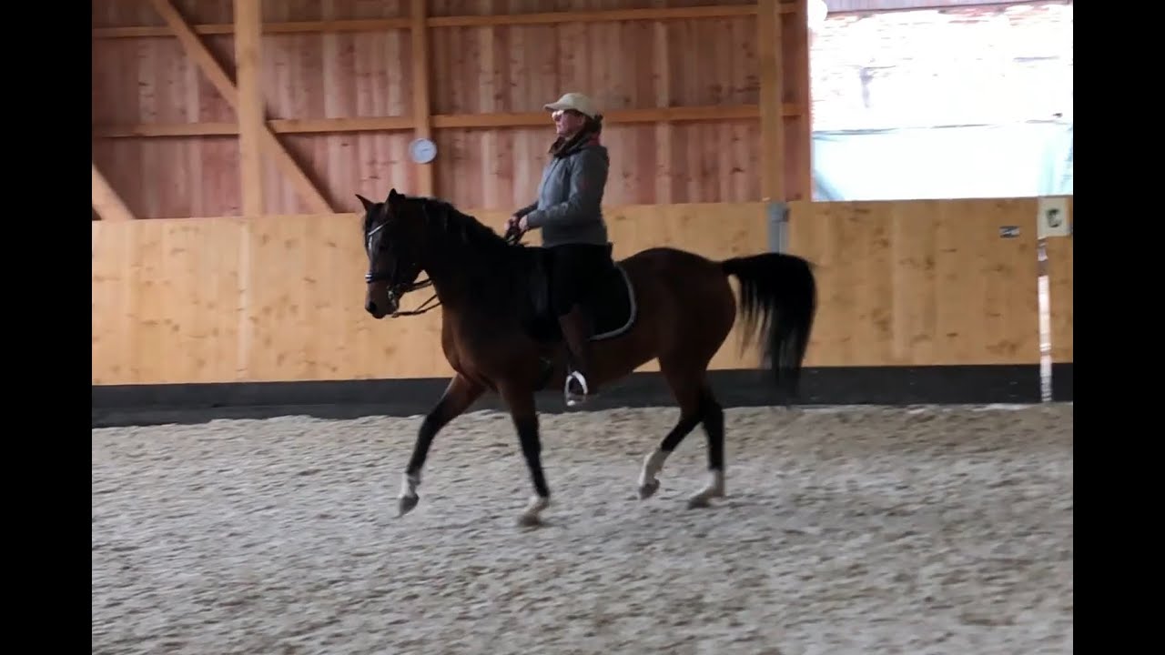 LESSON ~ Piaffe / School trot & canter