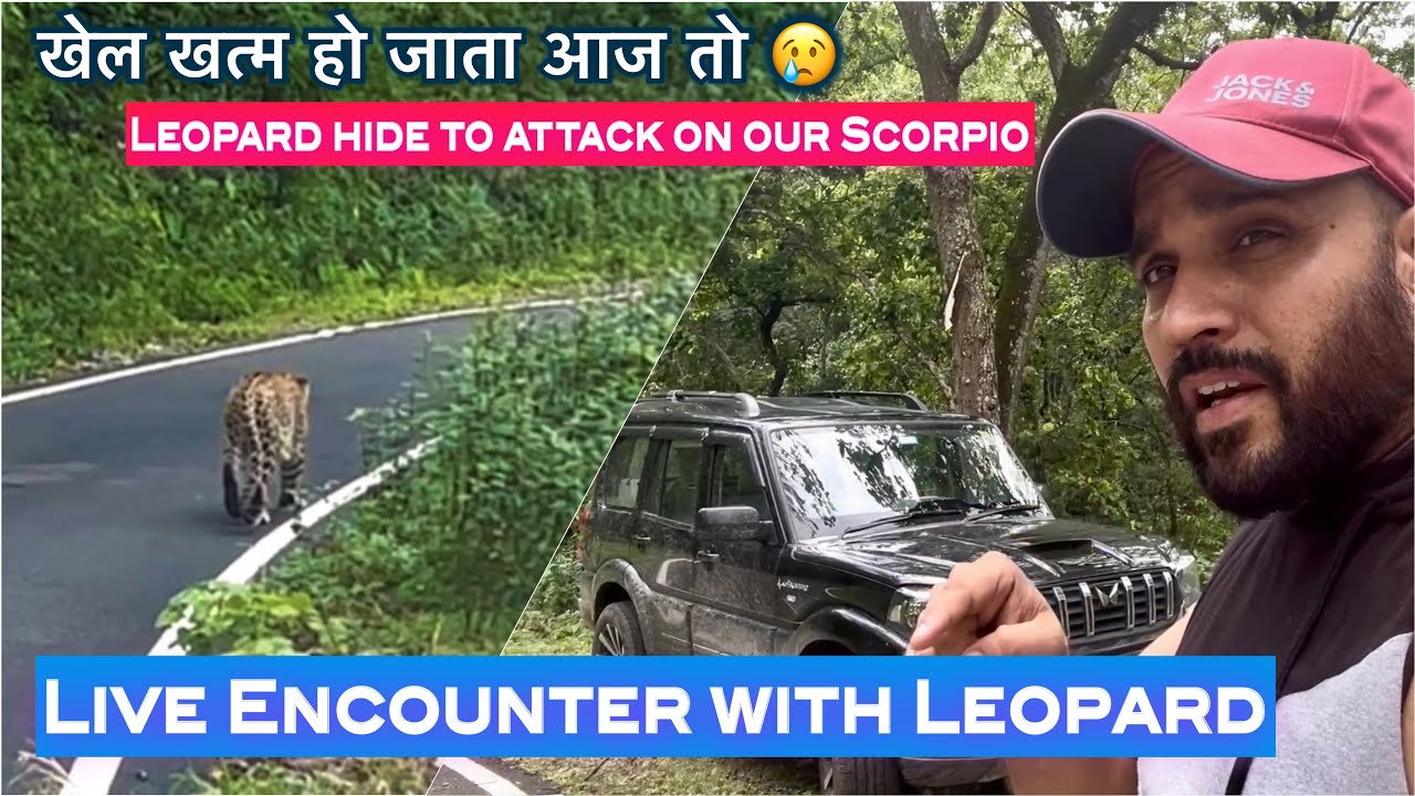 Scorpio ने बचा लिया Leopard attack से | Most dangerous road to travel | Road trip to Corbett by Car