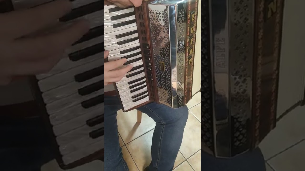 AKORDEON ZUPAN ALPE IV 96 BAS