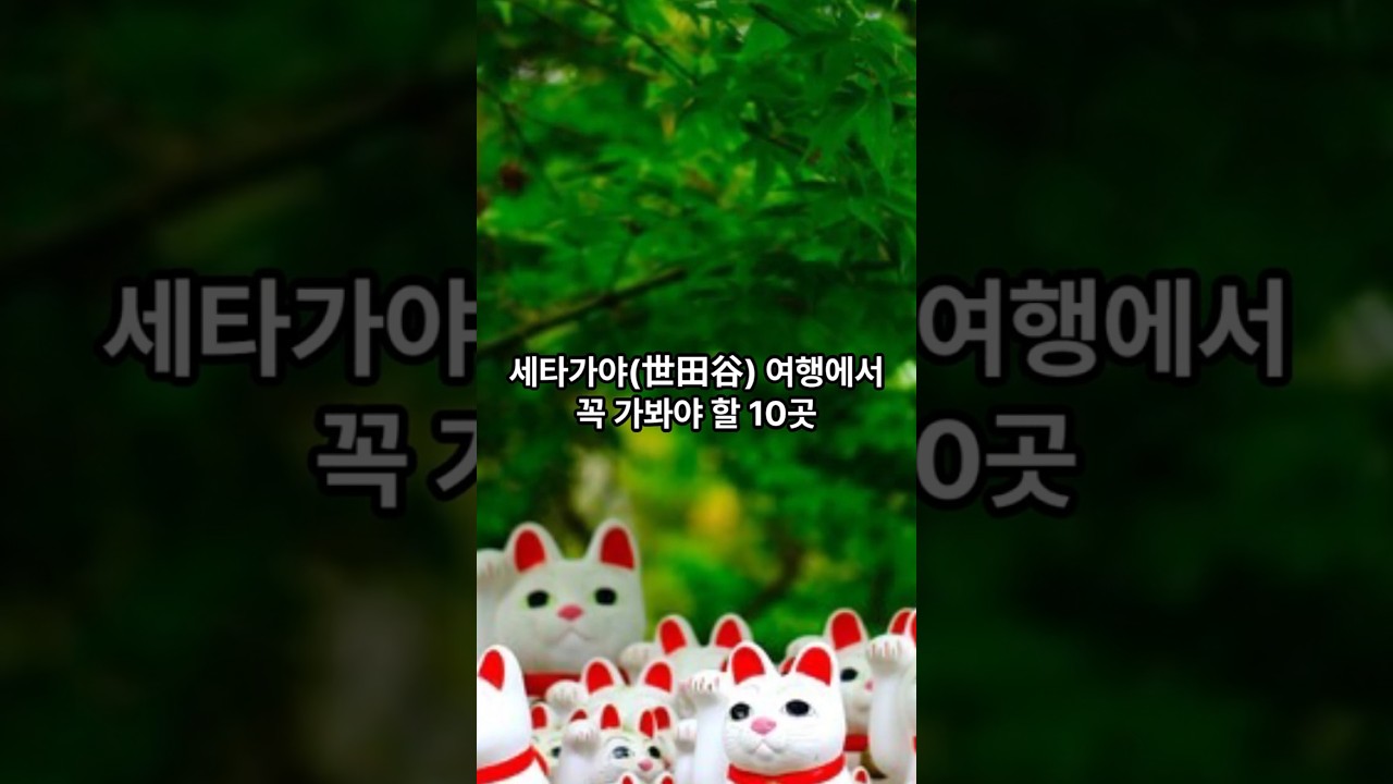 세타가야 관광지 10곳 #세타가야#일본#일본여행#여행#관광#국외관광#국외여행#여행지#관광지#관광지소개