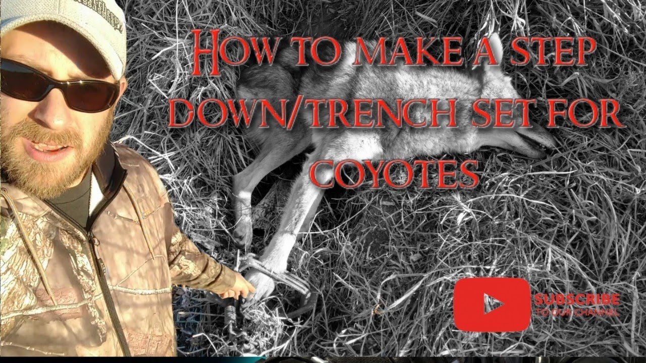 How To Make A Step Down/Trench Set For Coyotes