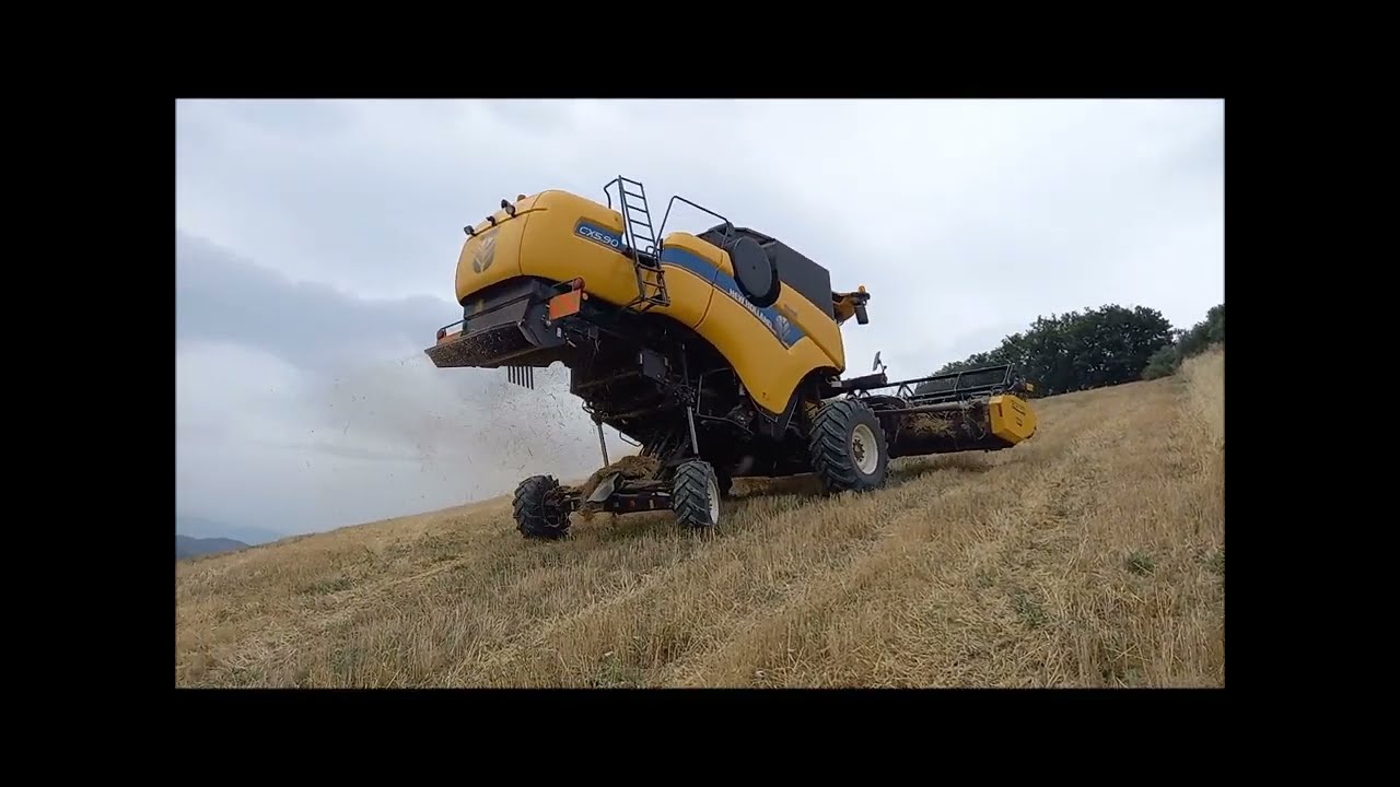 NEW HOLLAND CX 5.90 Hillside con barra pieghevole Cressoni - trebbiatura 2022