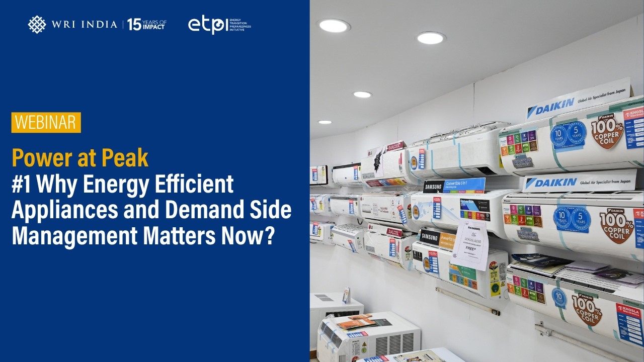 Power at Peak: #1 Why Energy Efficient Appliances and Demand Side Management Matters Now?