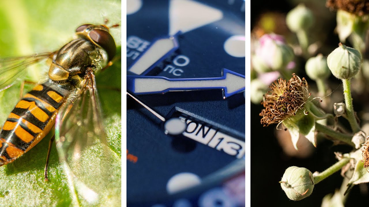 Get Creative with Affordable Macro Extension Tubes + Samples (Viltrox / Fotga Tubes Tested)