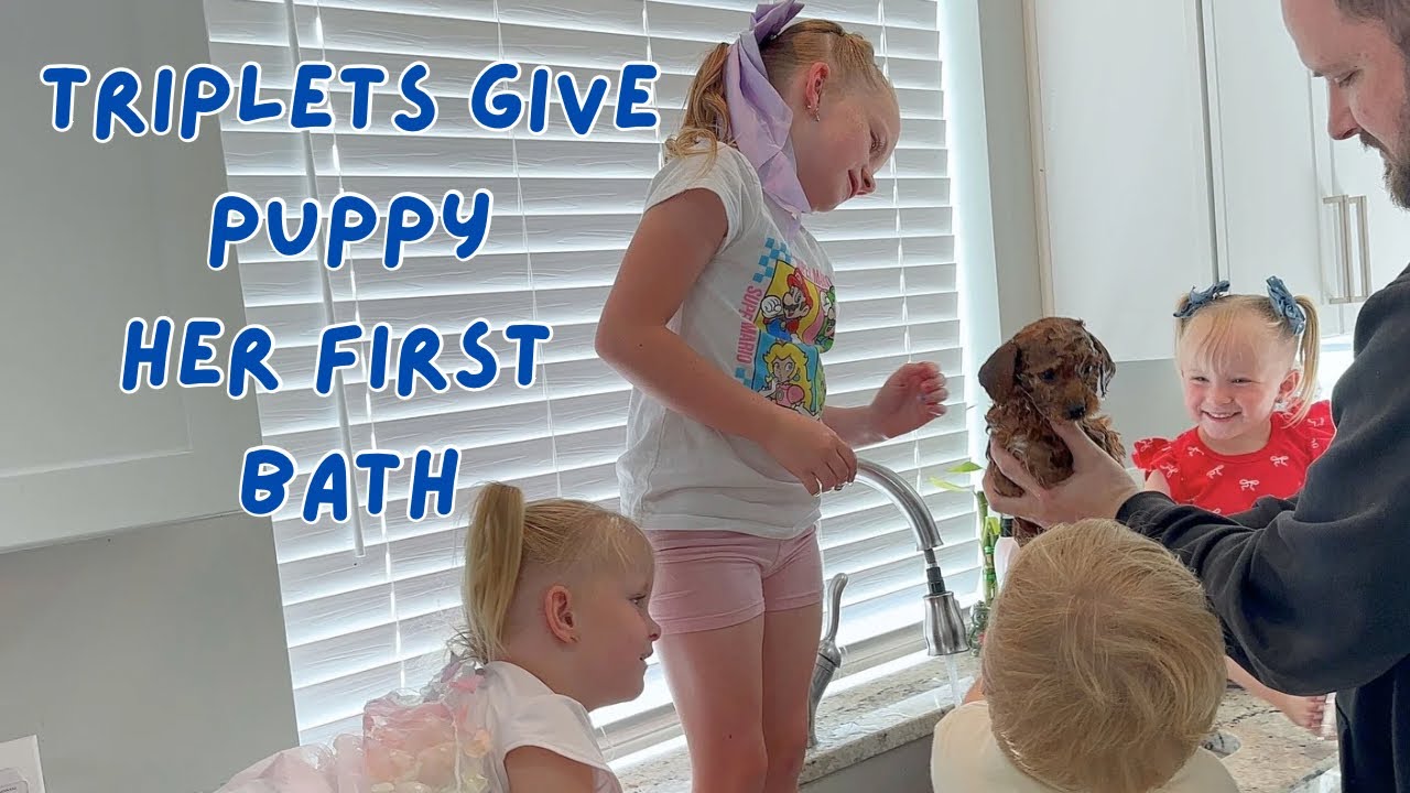 Triplets & Big Sis Give Our Puppy Her FIRST Bath! 😂🐶 (Cutest Chaos Ever!)
