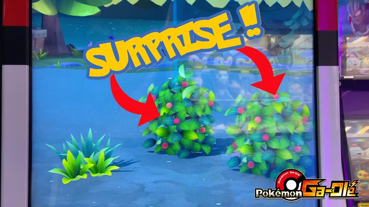 *DOUBLE BUSH SURPRISE!!