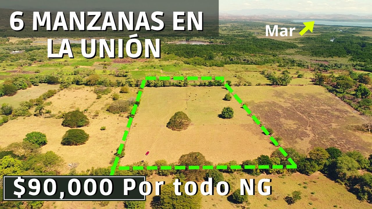 (NO DISPONIBLE) SE VENDEN 6 MZ CON 12 TAREAS INCLUIDAS/Precio: $90,000NG/LA UNIÓN/WSAPP: